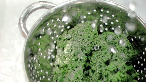 Kale-being-washed-in-super-slow-motion