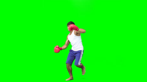 Boxer-performing-an-air-kick