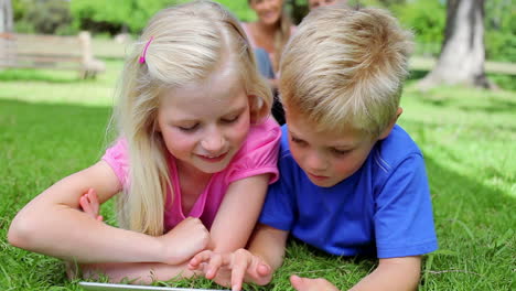 Brother-and-sister-using-a-tablet-pc-together-while-lying-in-the-grass-before-smiling-at-the-camera