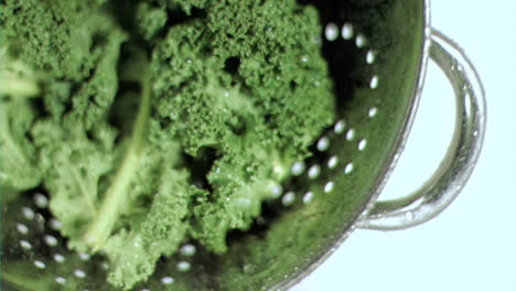 Brokkoli-Im-Sieb-In-Superzeitlupe