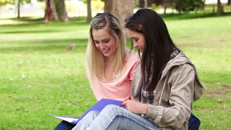 Two-friends-laughing-and-talking-as-they-read-a-book-together-in-a-park