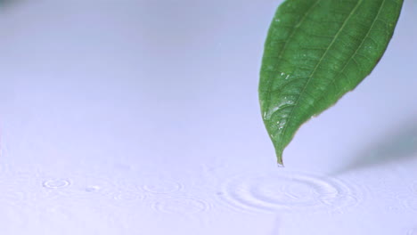 Drizzle-falling-on-a-leaf-in-super-slow-motion