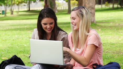 Two-friends-talking-and-laughing-as-they-look-use-a-laptop-while-sitting-in-a-park