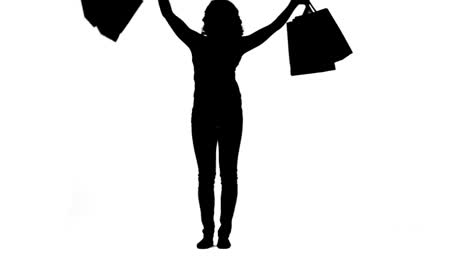 Silueta-De-Una-Mujer-Enérgica-Sosteniendo-Bolsas-De-Compras