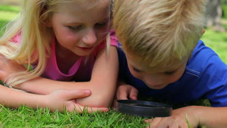 Two-children-searching-through-grass-with-a-magnifying-glass-before-the-boy-looks-at-the-camera