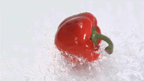 Pepper-turning-in-water-in-super-slow-motion