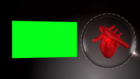 Heart-beating-and-rotating-as-a-green-screen-appears-next-to-it