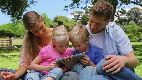 A-family-reads-a-book-as-they-sit-together-in-a-park-before-looking-at-the-camera