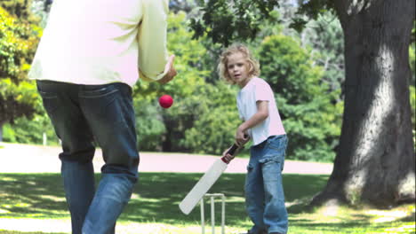 Father-and-son-in-slow-motion-playing-cricket