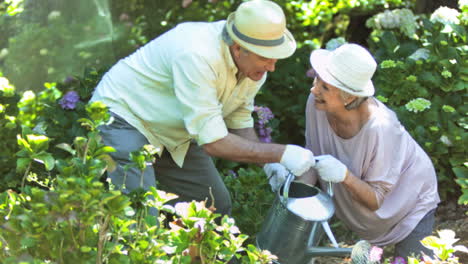 Ancianos-Regando-Plantas-En-Cámara-Lenta