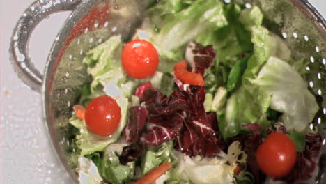 Salad-in-sieve-in-super-slow-motion