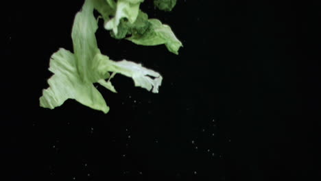 Lettuce-thrown-upwards-in-super-slow-motion