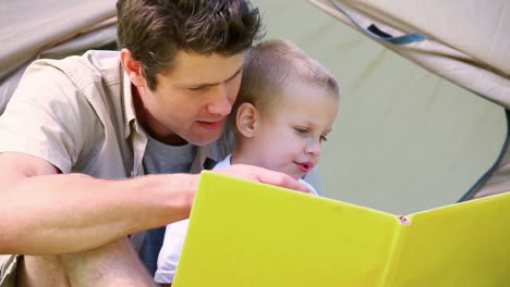 Niño-Mirando-Un-Libro-Ilustrado-Con-Su-Padre