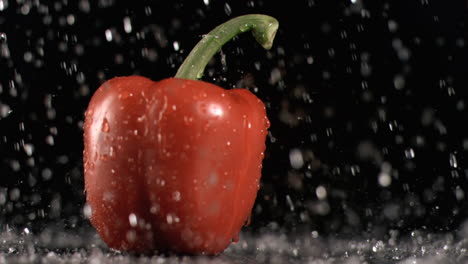Rain-dropping-on-a-pepper-in-super-slow-motion