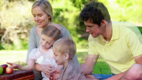 Family-picnicking-