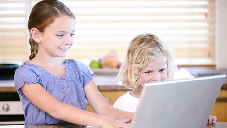 Una-Joven-Usando-Una-Computadora-Portátil-Con-Su-Hermano.