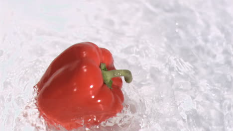 Pepper-turning-in-water-in-super-slow-motion