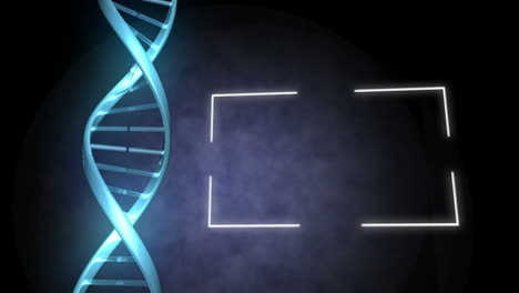 Blaue-DNA-Neben-Einem-Rahmen