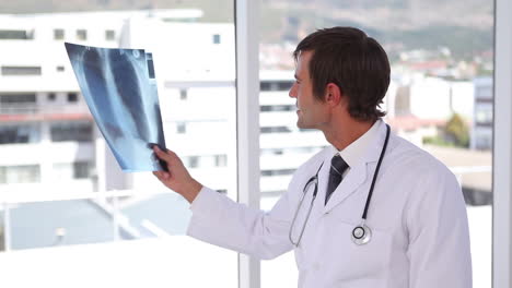 Doctor-examining-a-chest-xray-