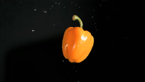 Yellow-bell-pepper-rotating-in-super-slow-motion-