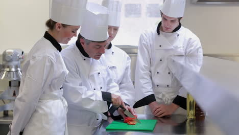 Chefs-at-the-counter-learning-how-to-slice-vegetables