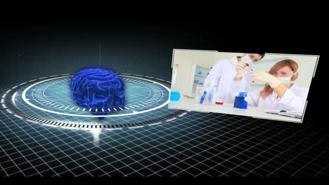 Montage-of-medical-research-clips-moving-around-revolving-brain