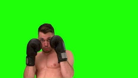 Focused-man-practicing-boxing-on-green-background-