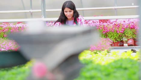 Mujer-Trabajando-En-El-Invernadero-Sonriendo-