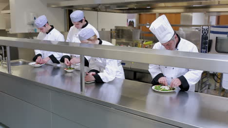 Cooks-standing-in-a-kitchen-and-preparing-food