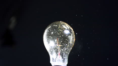 Bulb-being-crushed-by-a-shot-