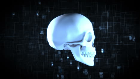 Revolving-blue-skull-on-moving-digtial-background