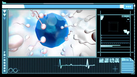 Interfaz-Digital-Que-Muestra-El-óvulo-Siendo-Fertilizado