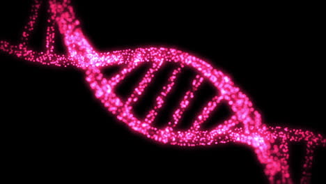 Erscheinen-Und-Verschwinden-Schimmernde-DNA-Helix