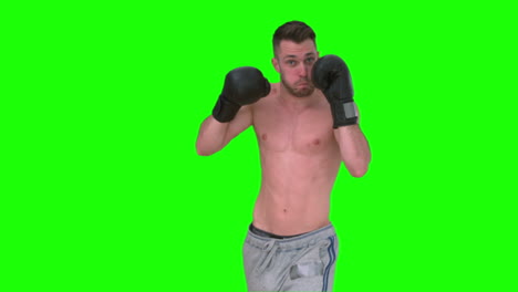 Man-boxing-with-black-glove