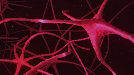 Neuronas-Pulsando-A-Través-Del-Sistema-Nervioso-Rosa