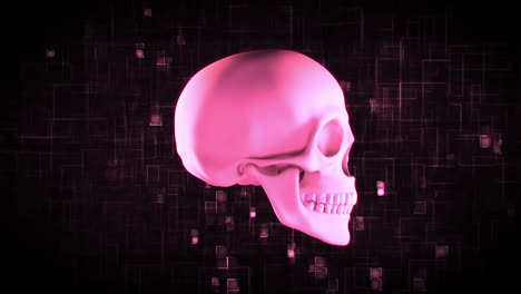 Revolving-pink-skull