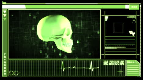 Interfaz-Digital-Médica-Que-Muestra-El-Cráneo