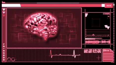 Digitale-Schnittstelle-Mit-Rotierendem-Rosa-Gehirn