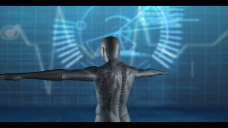 Medical-video-of-revolving-human-figure