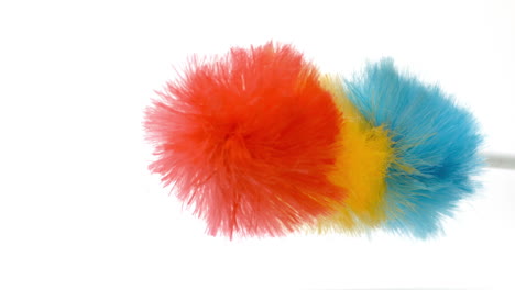 Feather-duster-shaking