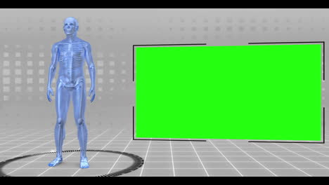 Rotierende-Gehende-Und-Laufende-Menschliche-Figur-Mit-Chroma-Keys