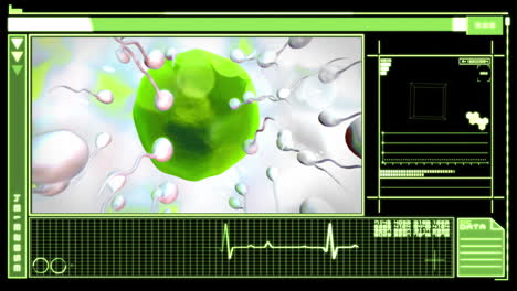 Medical-digital-interface-showing-egg-cell-fertilization