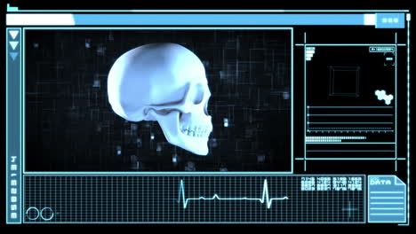 Medical-digital-interface-showing-skull