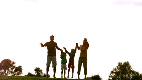 Familia-Saltando-En-El-Aire