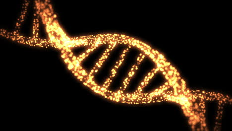 Erscheinen-Und-Verschwinden-Der-DNA-Helix