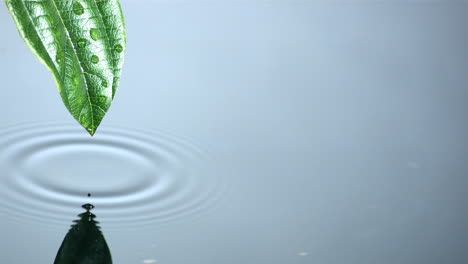 Drop-running-off-green-leaf-into-water-pool