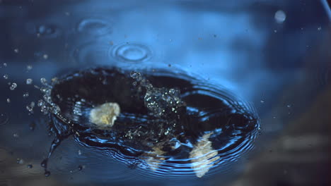 Sea-shells-falling-into-blue-water-