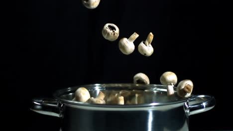 Mushrooms-falling-into-silver-pot