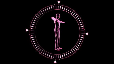 Revolving-figure-of-man-man-in-moving-dial-circle