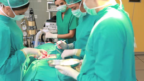 Concentrated-surgical-team